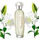 thumbnail image 3 of Perfume Zermat Stefanni Eau de Parfum para mujer, 100 ml, 3 of 4