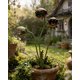 thumbnail image 1 of Estaca jardín planta carnívora caprichosa Venus atrapamoscas 63cm decoración césped, 1 of 8