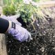 thumbnail image 5 of Guantes de jardinería de microfibra y silicona de Homegrown Watson Sparrow, 5 of 5