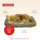 thumbnail image 3 of Petzzz Chihuahua Perfect Petzzz Peluche Realista 25 × 19 × 9 cm, 3 of 7