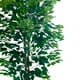 thumbnail image 2 of Planta Artificial Ficus 180 cm. Premium.., 2 of 3