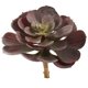 thumbnail image 2 of Set de suculentas artificiales de Echeveria casi naturales de 15 cm (12), 2 of 6