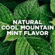 thumbnail image 3 of Enjuague Bucal Tom's of Maine Wicked Fresh 6 x 473 ml Sin Alcohol, 3 of 3