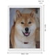 thumbnail image 2 of Shiba Inu Kits de Pintura de Diamantes para Adultos, 2 of 6