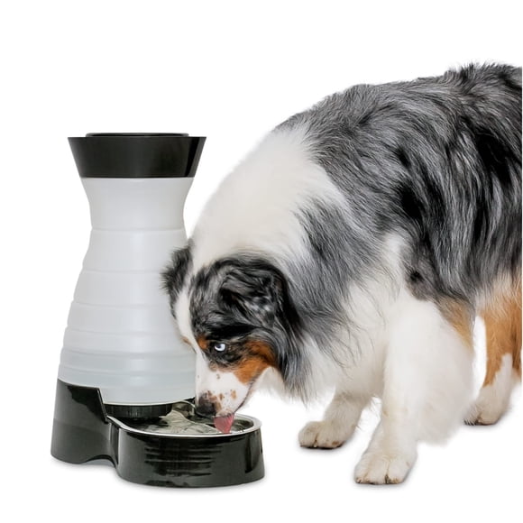 Water Station PetSafe Healthy Pet, tamaño grande, 9,5 L, con cuenco de acero inoxidable