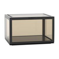 Bothyi - Vitrina Transparente Acrílica Estante De Almacenamiento De Artesanías Para Figuritas En Miniatura Negro