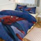 thumbnail image 1 of Spiderman Room Decor Bedding Set with Sheets And Pillow 3 Piece Bedding Super Soft Fade Resistant Microfiber for Boys Girls Kids Twin, 1 of 5