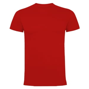 Andesland - Polera 100% Algodón Manga Corta Hombre