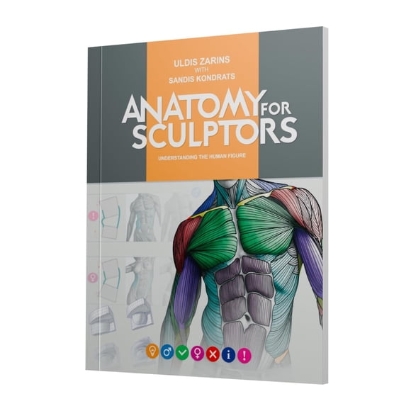 Anatomía para Escultores: Comprender la Figura Humana