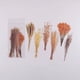 thumbnail image 1 of 6pcs/pack Flower Shop Series Decorative Stickers - Perfect for Scrapbooking, Labeling, Diary Albums & More!, 1 of 5