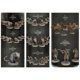 thumbnail image 4 of Juego de mesa Steamforged Games Elden Ring: El Rey Injertado (Edición Kickstarter), 4 of 7