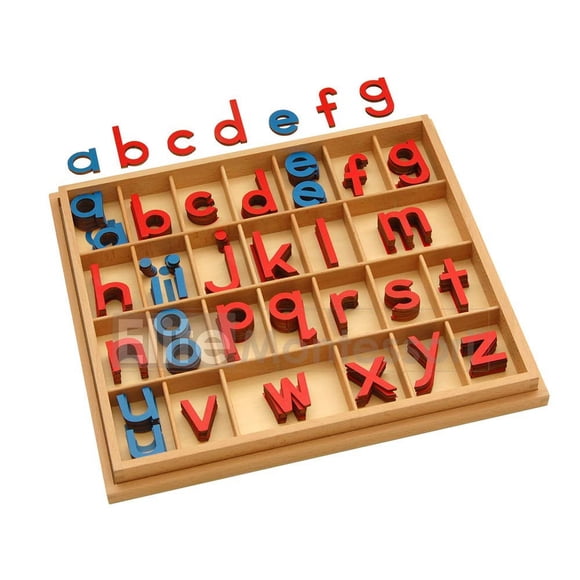 Movable Alphabet Elite Montessori de madera con caja para preescolar