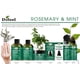 thumbnail image 3 of Aceite Capilar De Romero Y Menta Con Biotina 240 Ml Para Cabello, 3 of 3