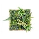 thumbnail image 1 of Jardin Vertical Irlanda, 1 of 4