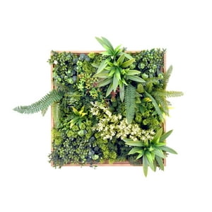 Signet - Jardin Vertical Irlanda