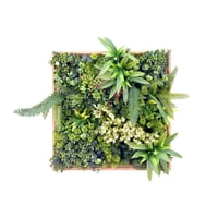 Signet - Jardin Vertical Irlanda