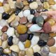 thumbnail image 1 of Pebbles Fantian Rocas de río pulidas de 1 a 2 pulgadas, 1 kg, para plantas, 1 of 9