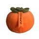 thumbnail image 4 of Persimmon Almohada Decorativa Sofá Cojín Para Sofá Sala De Estar, 4 of 5