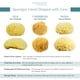 thumbnail image 4 of Sea Sponge Neptune Caribbean Sea, paquete de 2 unidades, tamaño mediano, 13-15 cm, 4 of 4