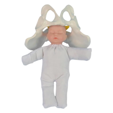 Magideal - Modelo De Pelvis Femenina De Tamaño Real Con Modelo De Pelvis Femenina De Bebé Para Enseñar Estudiantes, Estudiar, Educación Científica