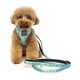 thumbnail image 2 of Correa Fuzzyard para perros SUMMER PUNCH 1,4 mt, 2 of 2
