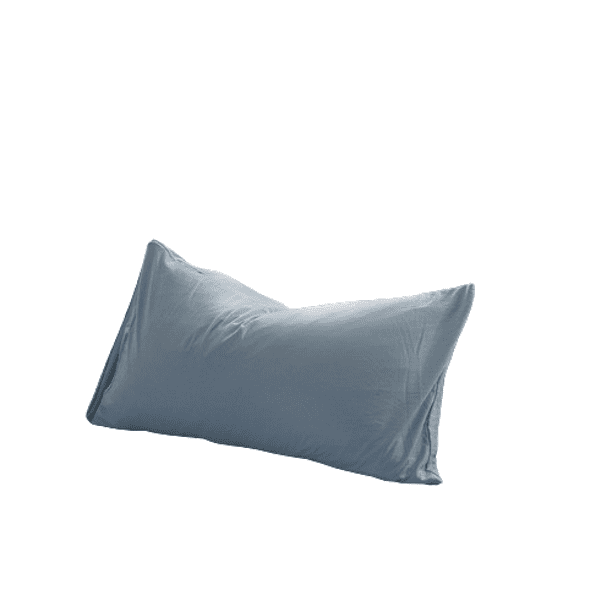Funda de almohada para sofá, dormitorio, estilo rústico, decoración del hogar al aire libre, juego de 2