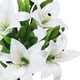 thumbnail image 2 of Paquete de 5 flores artificiales de lirio de tacto real, flores falsas para boda, hogar, fiesta, jardín, tienda, oficina, decoración de flores de lirio de plástico falso., 2 of 7