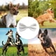 thumbnail image 5 of Pajarita formal para perros Amajiji® para perros medianos y grandes, 5 of 5