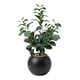 thumbnail image 1 of Planta Artificial Ficus Decorativa Maceta Decoracion Hogar gris oscuro, 1 of 8