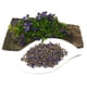 thumbnail image 2 of Chispas de flor de violeta deshidratada Naturegrail 10 g | Vegano, 2 of 9