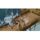 thumbnail image 5 of Videojuego Yasha: Leyendas de la Espada Demoníaca PS5 de Game Source, 5 of 9