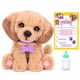 thumbnail image 3 of JUGUETE LITTLE LIVE PETS PERRITO REAL, 3 of 7