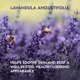 thumbnail image 2 of Tónico Facial Alteya 118 ml Lavanda Certificado Orgánico USDA, 2 of 5