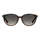 thumbnail image 2 of Lentes De Sol Modelo PLD 4084/F/S, 2 of 3