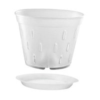 Magideal - Maceta Para Orquídeas/Macetas Para Jardineras De Orquídeas/Con Agujeros/Macetas Para Orquídeas Ranuradas/Macetas Transparentes Para Plantas De Pp Para 5 Pulgadas Con Platillo