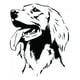 thumbnail image 1 of Decomural Irish Setter Dog WS-34705, 1 of 2