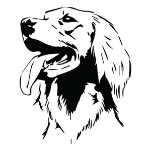 Rienda Libre Graphics - Decomural Irish Setter Dog Ws-34705