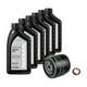 thumbnail image 1 of Kit Cambio De Aceite Terrano Petrolera Original, 1 of 2