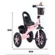 thumbnail image 3 of Triciclo Bicicleta Niño Niña Infantil Rosa, 3 of 5