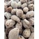 thumbnail image 4 of Esponjas Marinas Awesome Aquatic Paquete de 5 (2‑5 cm) sin Blanquear, 4 of 6