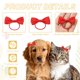 thumbnail image 3 of Uxcell Lazos Lindos para el Pelo de Perro, Moño Pequeño de 2" con Banda de Goma, Accesorios de Disfraces para Aseo de Mascotas Hechos a Mano, (Rojo, 10 Piezas), Destinado para Cachorros Gatos Fiesta, 3 of 7