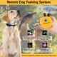 thumbnail image 3 of Collar de adiestramiento Educator ET-402 Sistema de 2 perros Amarillo, 3 of 6