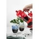 thumbnail image 3 of Cafetera Francesa Vidrio Borosilicato 600ml Rojo Cali Lugano, 3 of 4