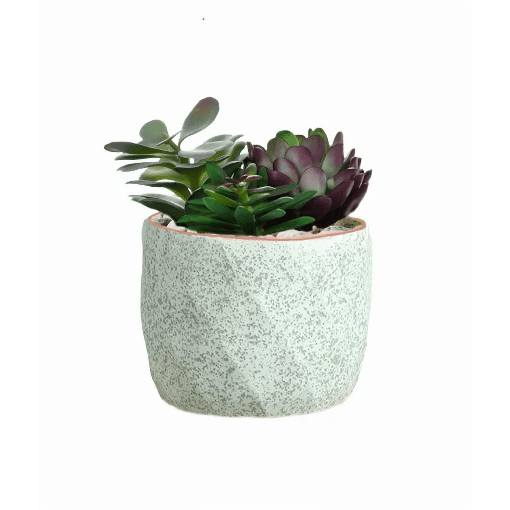 Genérico - Macetero Geométrico Cerámica Suculentas 7.2x6cm Pack 10 Verde