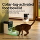 thumbnail image 3 of Comederos automáticos para gatos PETLIBRO para 2 gatos con etiqueta de collar RFID, 3 of 7