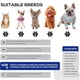 thumbnail image 3 of Botas Para Perros De Patas, Zapatos Antideslizantes De Cuatro Estaciones, Con Banda Reflectante, Para Perros Pequeños Y Medianos, Juego De Cuatro Piezas, Tamaño: 6 Yardas, 3 of 7