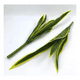 thumbnail image 2 of Planta artificial sansevieria lengua de suegra, 2 of 3
