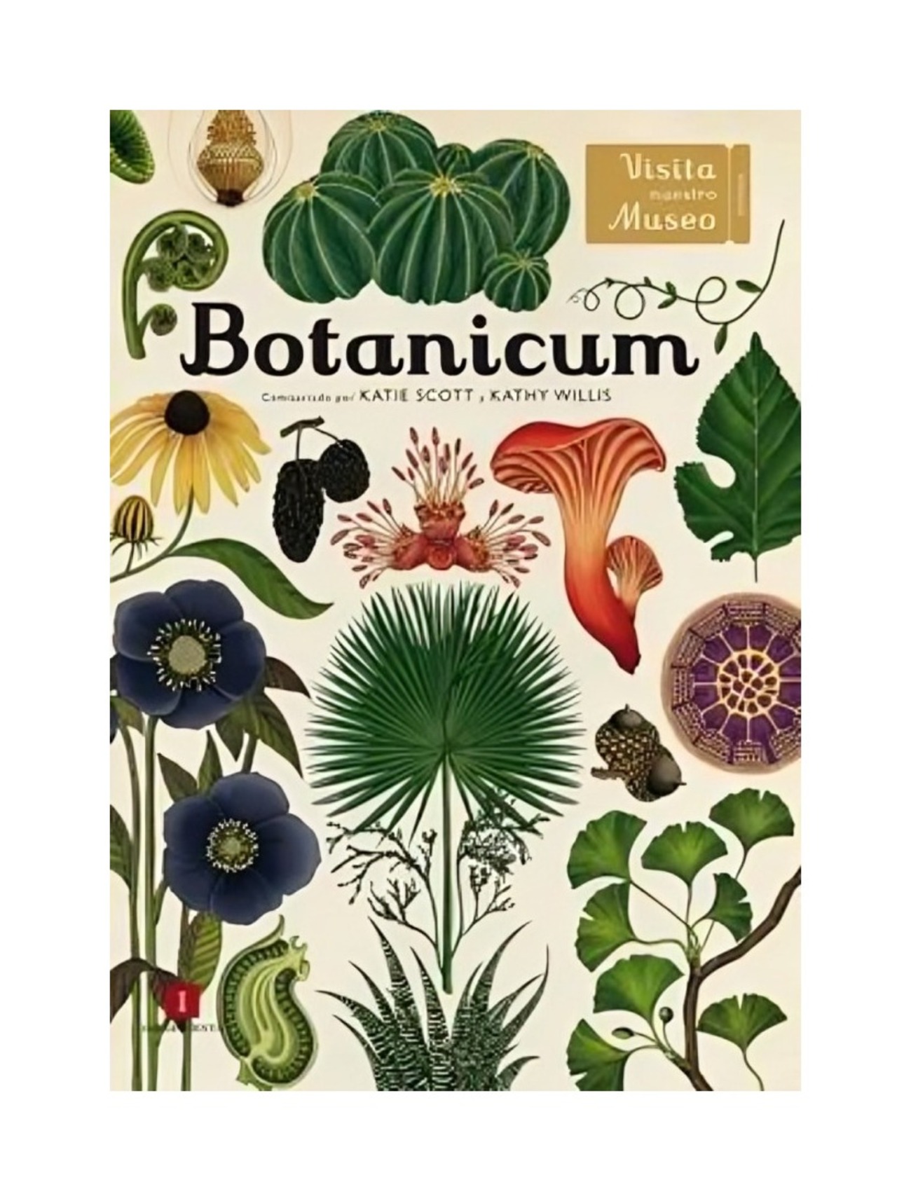 Oceano Travesia - Libro Botanicum - Katie Scott