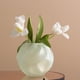 thumbnail image 2 of Florero pecera de vidrio verde menta 18 Cm, 2 of 2