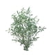 thumbnail image 2 of Planta Artificial Tipo Olivo. Altura: 140Cm verde, 2 of 3